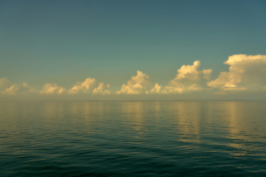 Finding calm in chaos | The art of stillness under pressure buddy an bweoiydzfgi unsplash