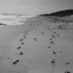 Sam keefe from Unsplash