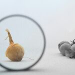 kaptured by kasia 1kdxacyd7h0 unsplash