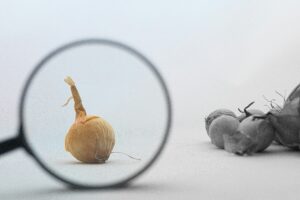 kaptured by kasia 1kdxacyd7h0 unsplash